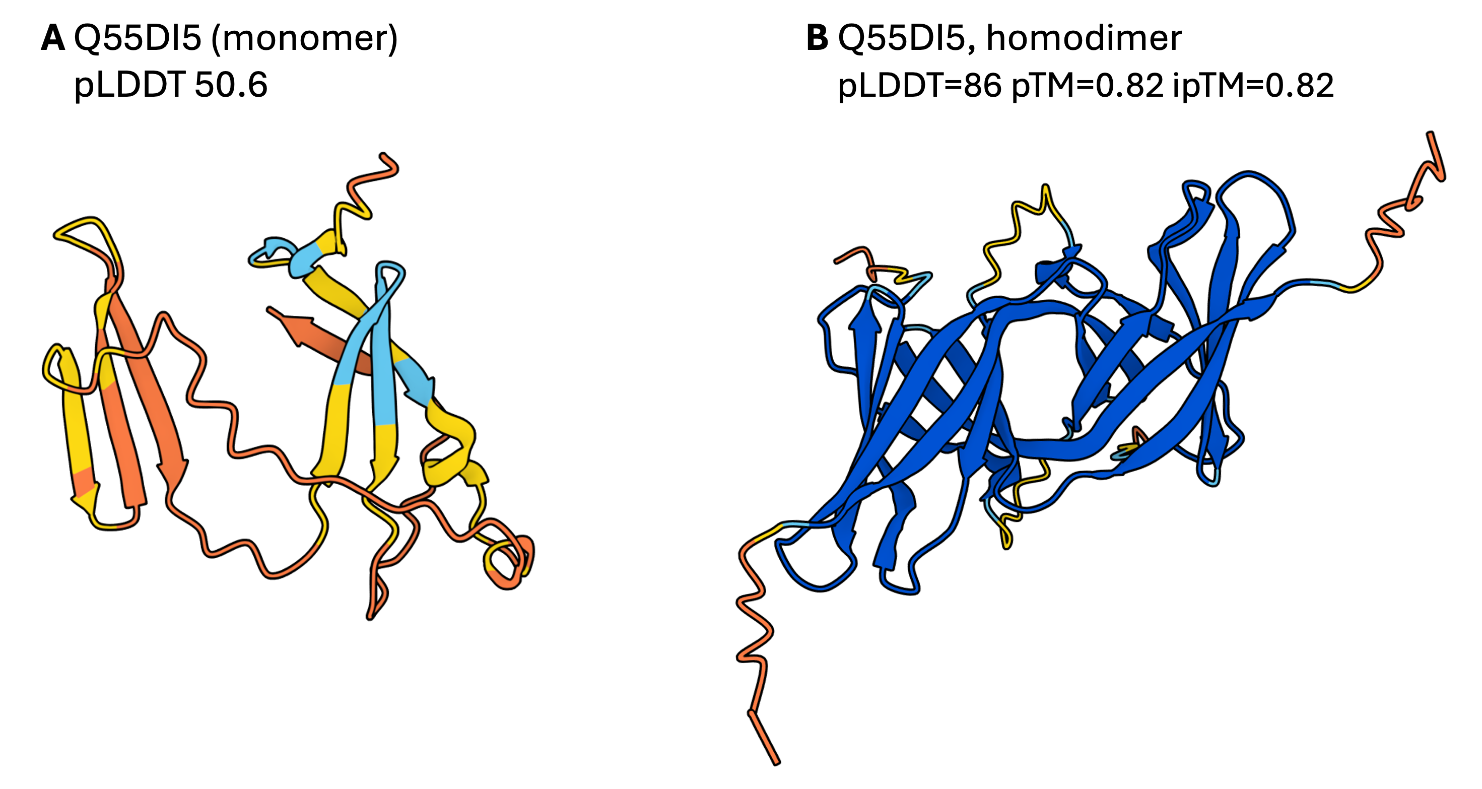 AF2 monomer and homodimer models