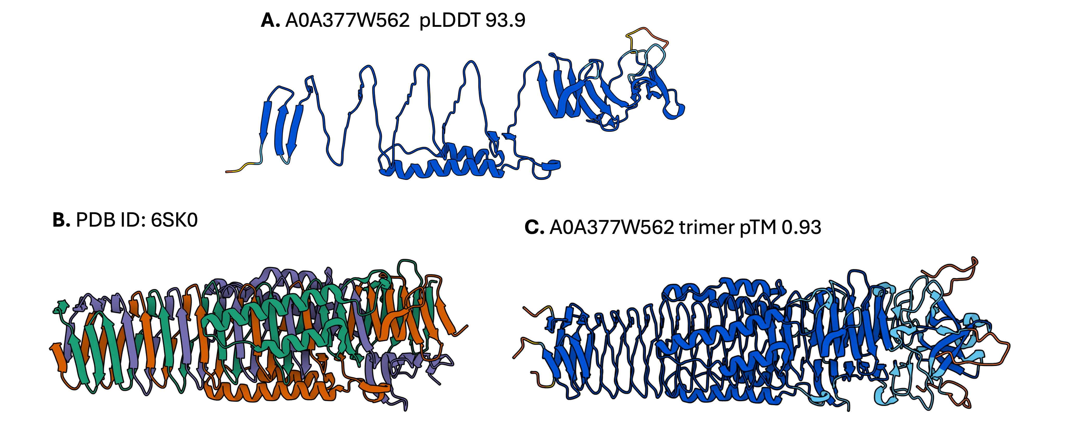 AF2 monomer, PDB trimer, and AF2 homotrimer models
